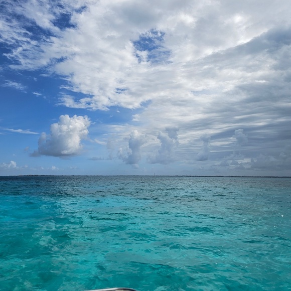 Meet your Posher, April - Picture 1 of 1